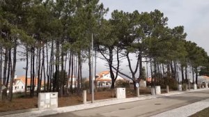 Наши планы после карантина.