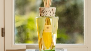 Baobab Collection VICTOR HUGO STORE PARIS 2021