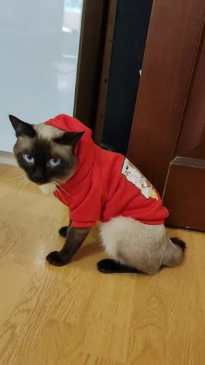 Нужна ваша поддержка🤗