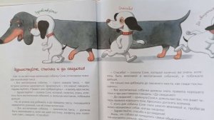 Серия рассказов.. 🐕 Умная собачка Соня 2