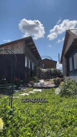 Работа в огороде #уралочка #огород