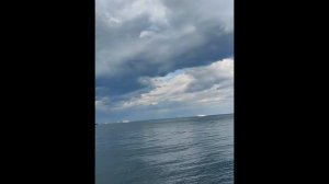 Беззвучная дрожь молчания