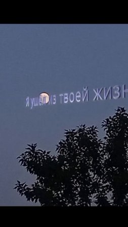апрель | Фантастический кот
