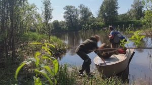 Косилово рыбы на севере. Нарвались как следует! Рука болят от рыбы.