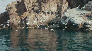 Териберка 2025