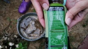 Куда использую воду после очистки чеснока? Удобряем огурчики!
