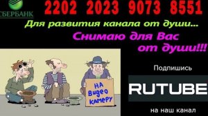 Крым  Вилина 23-07-2025