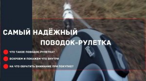 Поводок рулетка - на что обратить внимание при покупке и использовании?