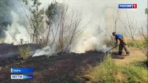 В Крыму сегодня ликвидировали сразу несколько масштабных возгораний