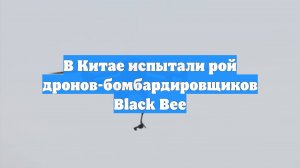 В Китае испытали рой дронов-бомбардировщиков Black Bee