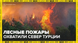 Новости мира: масштабные лесные пожары охватили север Турции - Москва 24