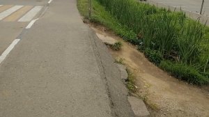 23.07.2025.Часть 2.МосАвтоТранс МО. А/станция Барыбино. Домодедово.МО. Московская область.В Процессе