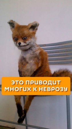 Это приводит многих к неврозу
