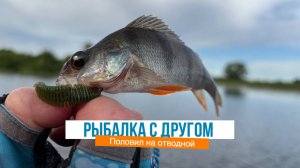 Рыбалка с другом. Окунь на отводной