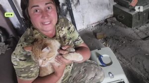 Военкор "ЯПервого" участвовала в спасении животных на передовой СВО