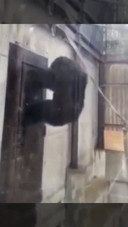 Когда семья большая, а туалет только один