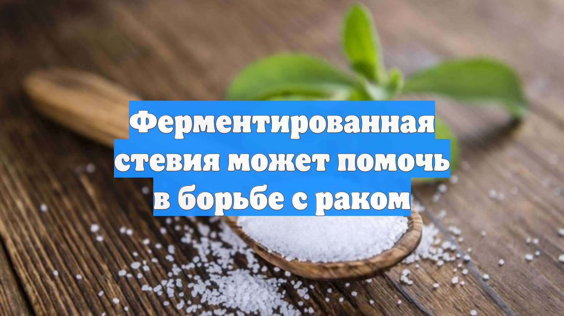 Ферментированная стевия может помочь в борьбе с раком
