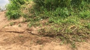 Мопеды сериал | Серия 1018