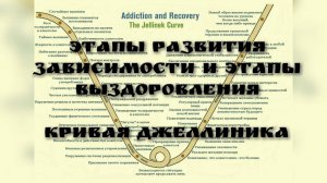 Этапы развития зависимости и этапы выздоровления. Кривая Джеллиника | Проценко Е.Н.