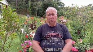 "Куплю землю, поставлю вагончик и буду сдавать туристам"