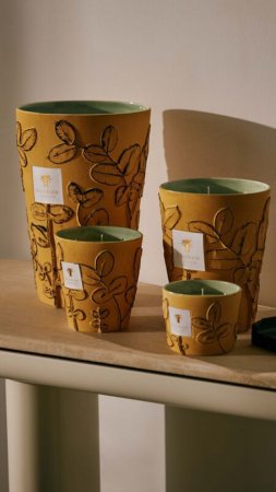 Baobab Collection FOLIA Collection