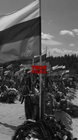 Пусть не болит в груди твоя рана💔