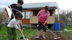 ДАЧНИКИ -ШУТОЧНАЯ ПЕСНЯ -сл Любовь Кузнецова муз Шулик Фингерова испол Любовь Кузнецова