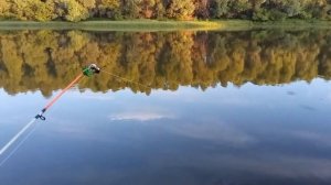 Хорошие поклёвки на донки. Река Обь, Алтайский край.