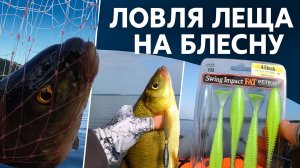 Нежданчик на рыбалке: лещи против джиг-спиннинга