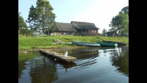 Дикий гусь и Огарь