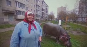 Бабуля и её бегемот Булька Барабулька. ИИ