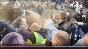 3.1Place_Beauvau - cest pour un signalement - 840 - - Manifestante matraquée à la tête - - Lille, Ac