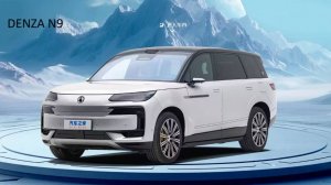 Denza N9