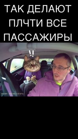 Зачем пассажиры это делают в такси?  Денис Таксист | Про Жизнь Таксиста.