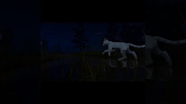 ПРЕДУПРЕЖДЕНИЕ!! ВИДЕО НЕ БУДЕТ!