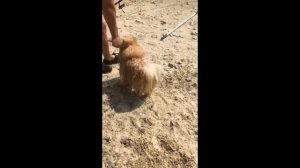 VLOG:Делаем вместе картину//Промежуточный результат