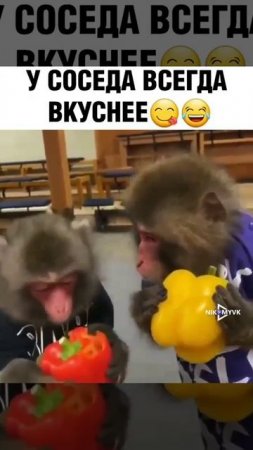 По моему у него вкуснее... )))