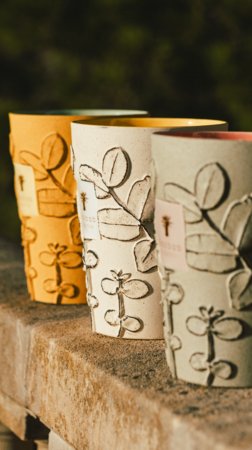Baobab Collection FOLIA