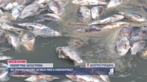 КАТАСТРОФА на Днепре