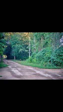 ПРОГУЛКА