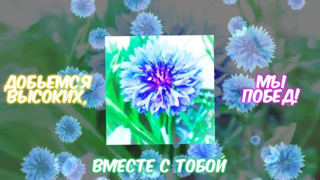 playsmax — Василёк (Lyric Video)
