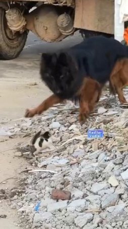 Кто ты, воин?