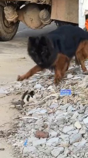 Кто ты, воин?