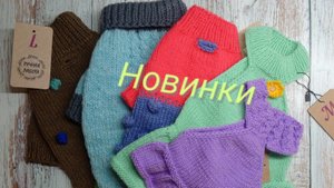 Одежда для собак, вязаные новинки