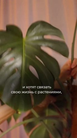 Гранты на обучение