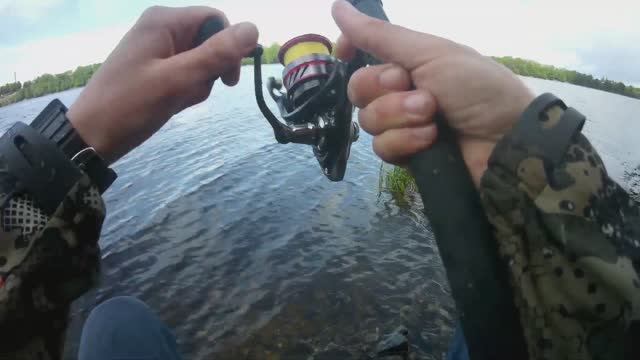 Рыбалка на фидер, река Великая Псков смотреть онлайн
