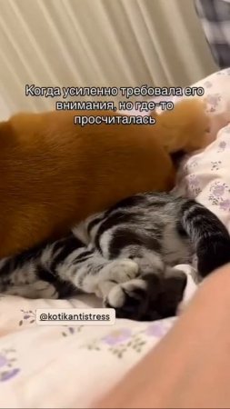 Зато они счастливы и любят друг друга