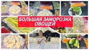 Заморозка овощей на зиму: сохраняем витамины и вкус