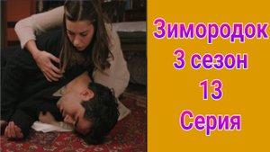 Зимородок 3 сезон 13 серия турецкий сериал на русском с озвучкой НТВ 2025