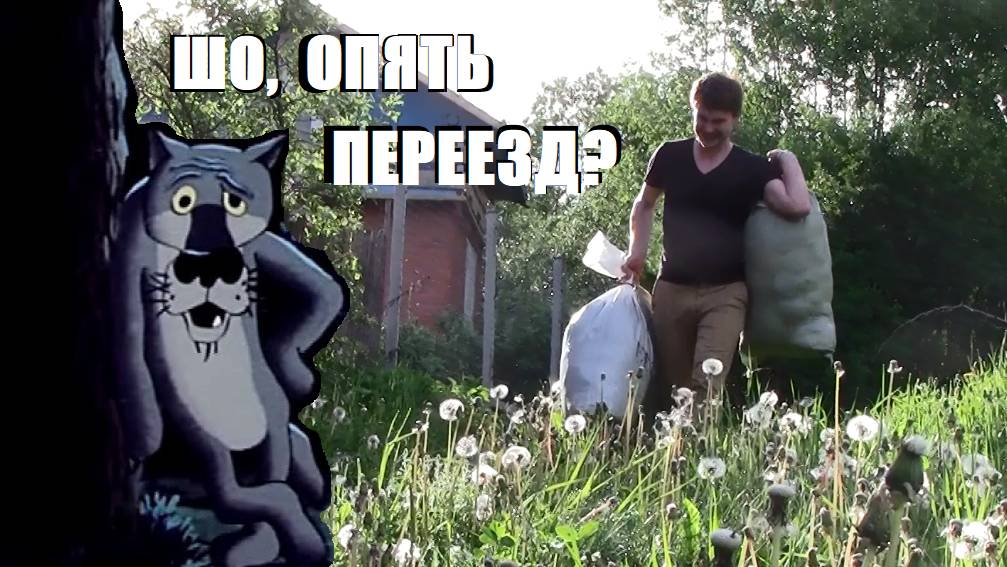 5-й ПЕРЕЕЗД ЗА 3 ГОДА | Поиски дома | Начинаем новый проект - Ежевичный сад 2.0